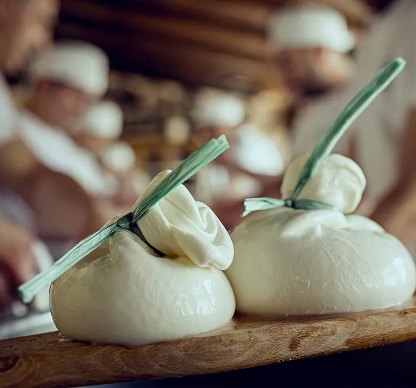 Caseificio Montrone - Lavorazione artigianale della burrata di andria